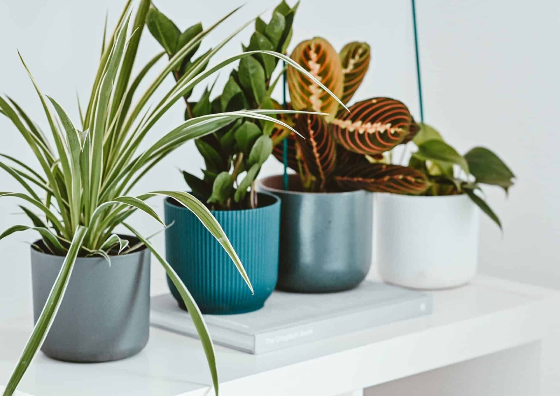 7 Rahsia Bajet Bina Rumah Terkawal 2025: Elak Kos Meletup Hingga RM50k – Tip Must-Have Untuk Tak Rugi Besar! 8 rumahhq kontraktor bina ubahsuai rumah unsplash7 9